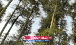 Screenshot_20260303_162315