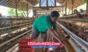 Screenshot_20260425_011131