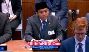 Penurunan Kebakaran Hutan hingga Pengakuan Hutan Adat Disampaikan Pemerintah Indonesia di Forum PBB