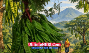 Cikakak Sukabumi Dari Durian ke Petai, Potensi Lokal yang Menyehatkan serta Banyak Digemari Masyarakat