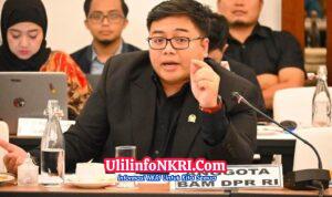 Legislator Partai Gerindra Jangan Sampai Perusahaan Digital Global Untung Besar, Indonesia Hanya Jadi Pasar