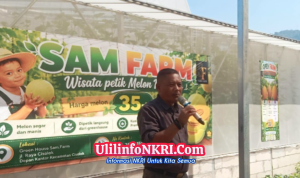 Wisata Petik Melon di Cisolok Resmi Dibuka, Dorong Pertanian Terintegrasi dan Ekonomi Lokal